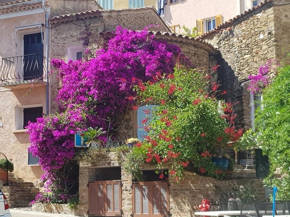 Maison De Vacances Medievale Bormes-Les-Mimosas Village Luaran gambar