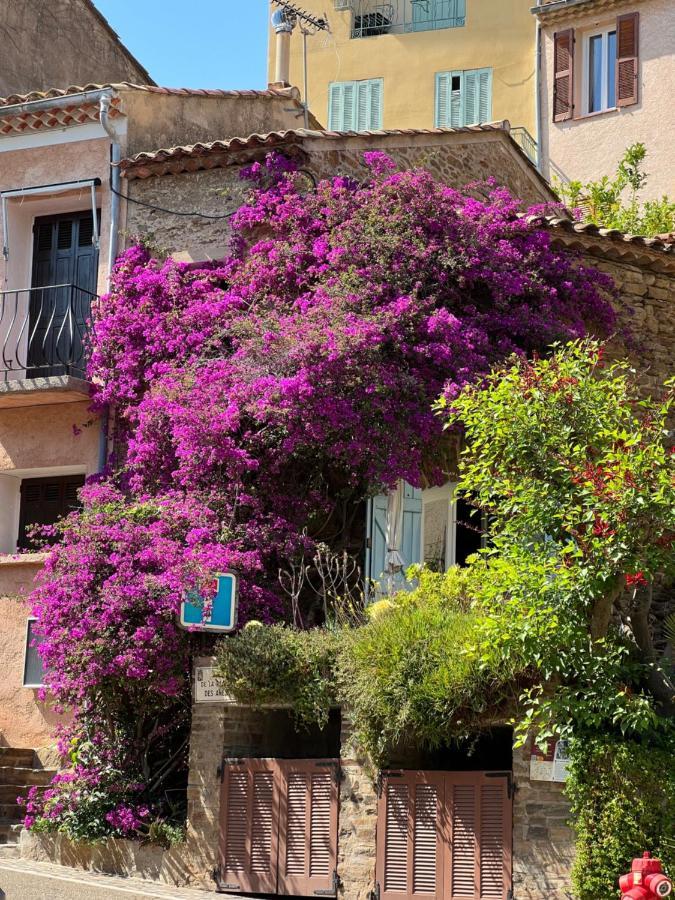 Maison De Vacances Medievale Bormes-Les-Mimosas Village Luaran gambar